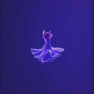 Gravity - Trap Music For Pole Fitness - Single