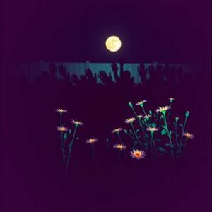 Midnight Kiss - Trap Music For Pole Fitness - Single