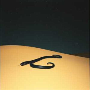 Obsidian Flow - EDM Music for Pole Fitness - Single