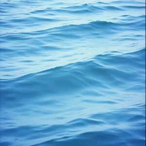 Siren Thread - Trap Music For Pole Fitness - Single