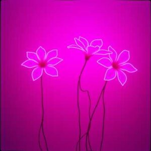 Velvet Voltage - EDM Music for Pole Fitness - Single