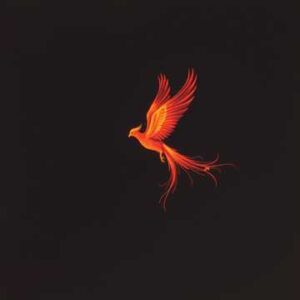 Work The Pole - 3 Song Set